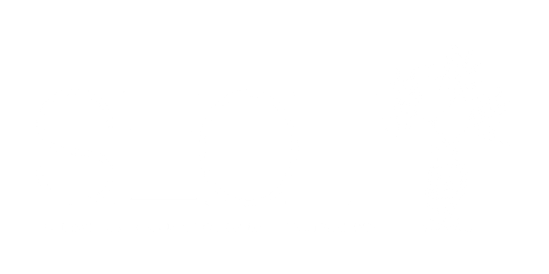 Logotipo de SEOT — Sociedad Ecuatoriana de Ortopedia y Traumatología